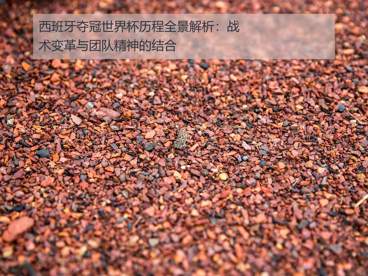 西班牙夺冠世界杯历程全景解析：战术变革与团队精神的结合